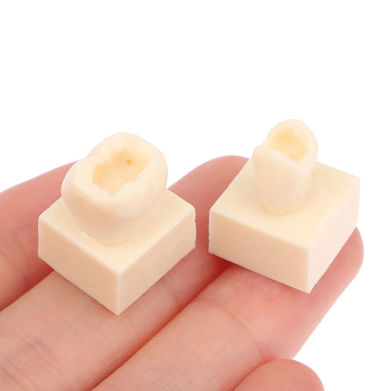 

8pcs Dental Resin Filling Practice Model Dental Form Stacked Tooth Filling Practice Model Front Teeth and Rear Teeth Model