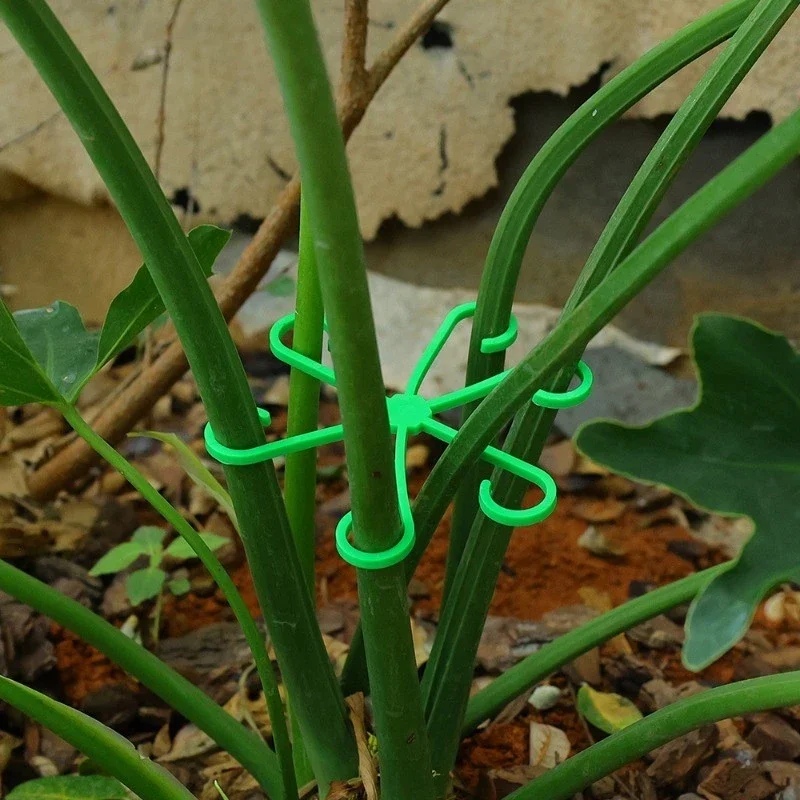 4pcs Plant Stem Support Clips, Flower Stem Gathering Frame, Support Fixer - Anti-Toppling, Hydroponic Branch Fixing Pot Rack