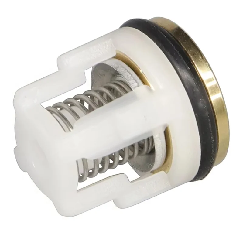 A95I-For Annovi Reverberi AR 42123 Pressure Washer Pump RMV RMW Replacement Parts- 6PCS Check Valve Kit Included