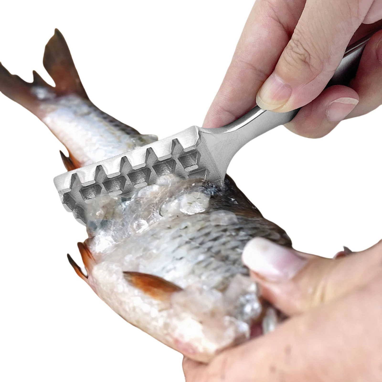 Fish Scaler Stainle…