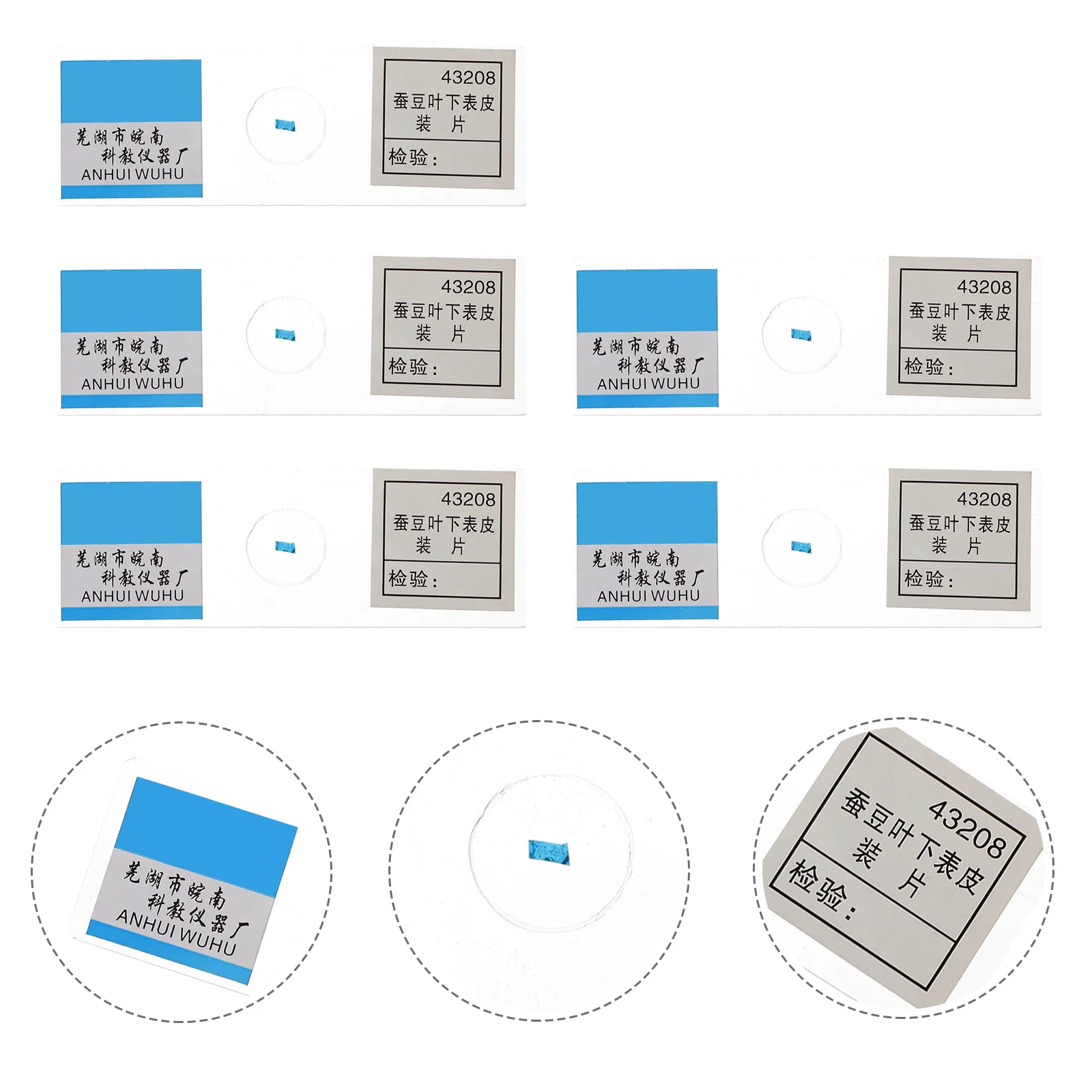 

5 Pcs Leaf Epidermis Slide Biology Early Education Accessories Bioexperiment Microscope