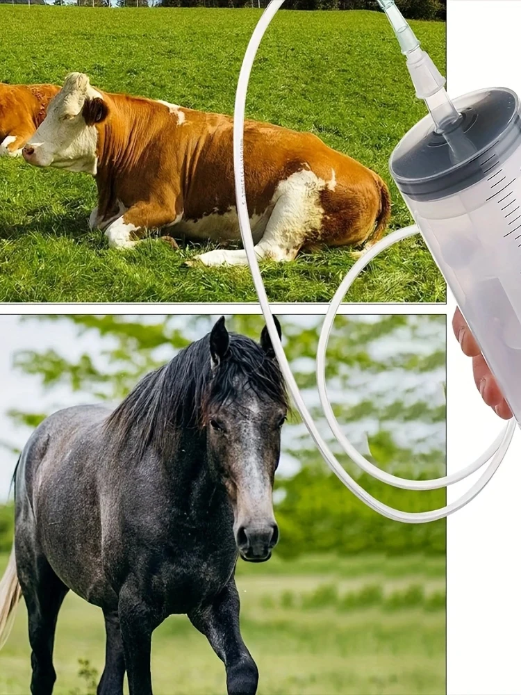 Seringue d'alimentation de 60ml, remplissage de colle, seringue de lavement, nutriments stériles sans aiguille, arrosage pour la culture hydroponique industrielle