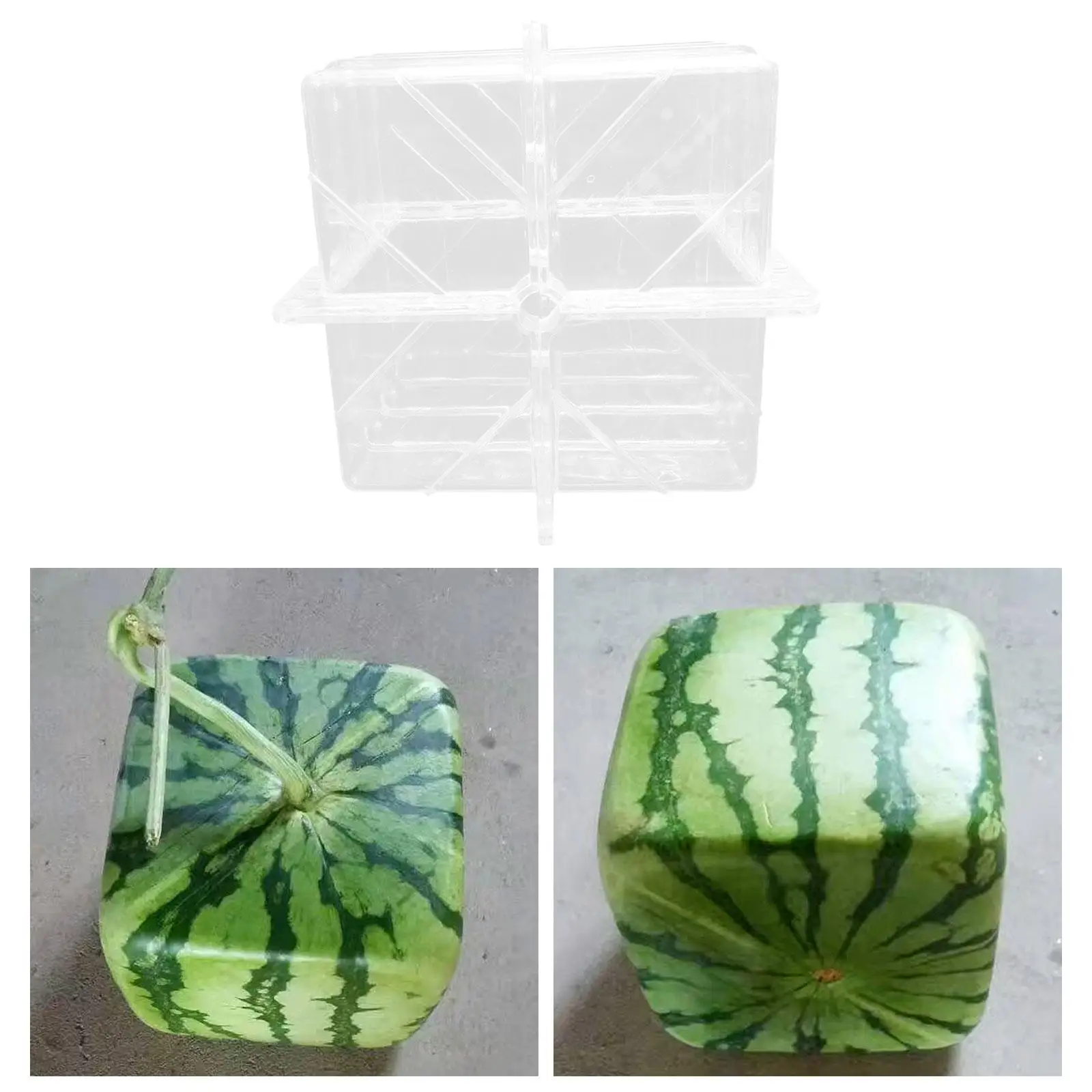 

Watermelon Shaping Tool Reusable Unique Premium Garden Vegetable Fruit Mould