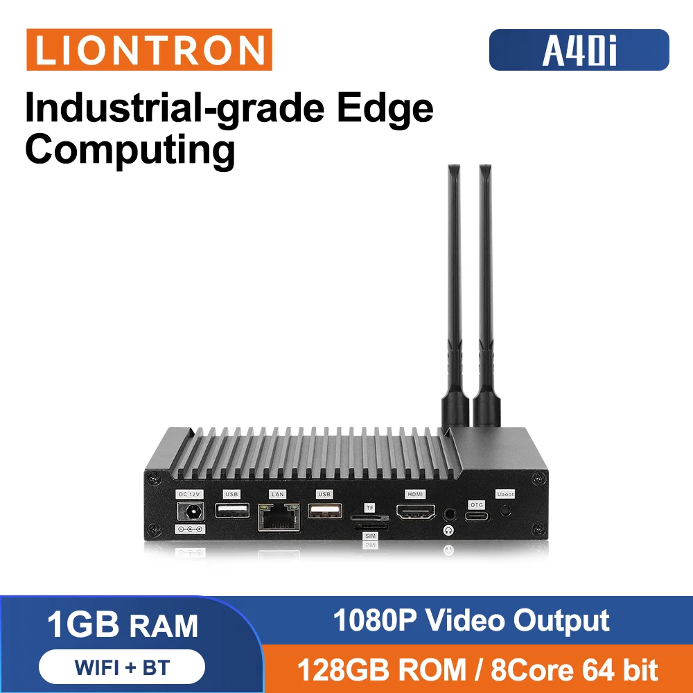 Liontron A40i with High Quality Heat Sink  Ehternet HDMI WIFI BT Serial Port 4G Module Optional Computer all-in-one machine