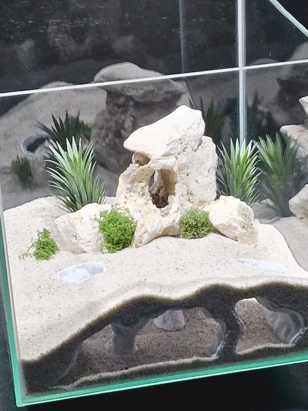 L Simulation Fi Tan… - image