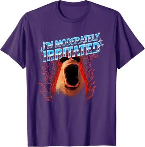 Moderately Irritated Marcus The Worm Meme Humor Y2k Art T-Shirt I'm Moderately Irritated Sarcastic Joke Saying Tee Novelty Gifts