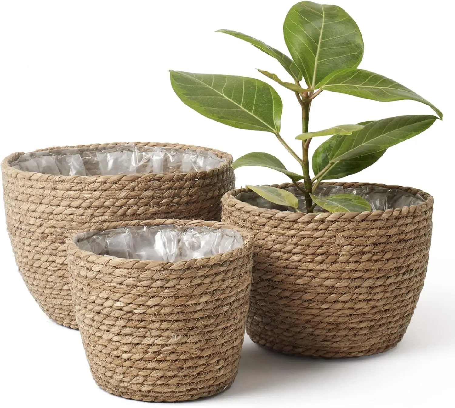 Seagrass Basket Planters for Indoor Plants, Flower Pot 3 Pack