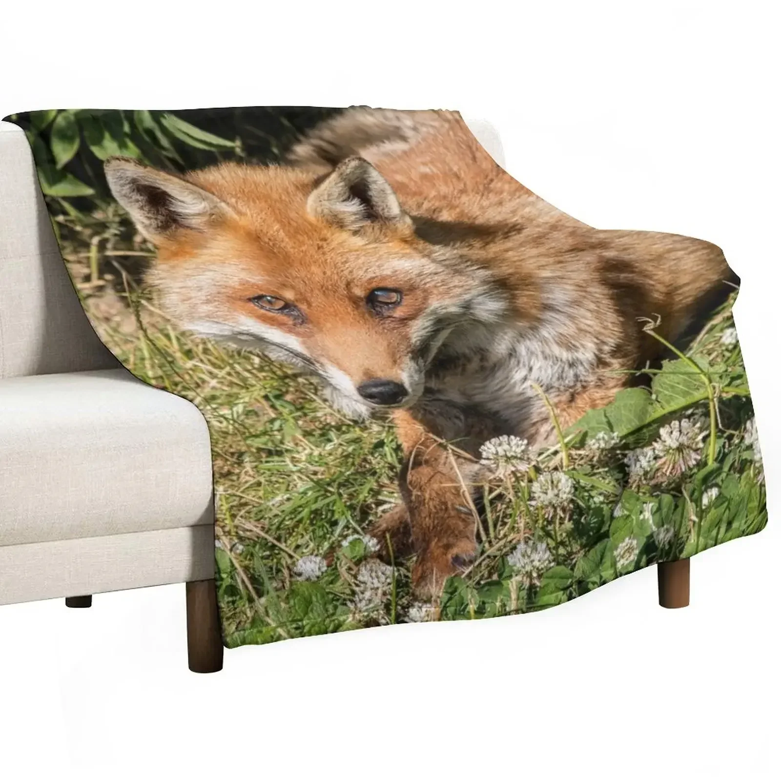 

Beautiful red fox Throw Blanket Blankets For Sofas Sofa Throw For Baby Soft Plush Plaid Blankets