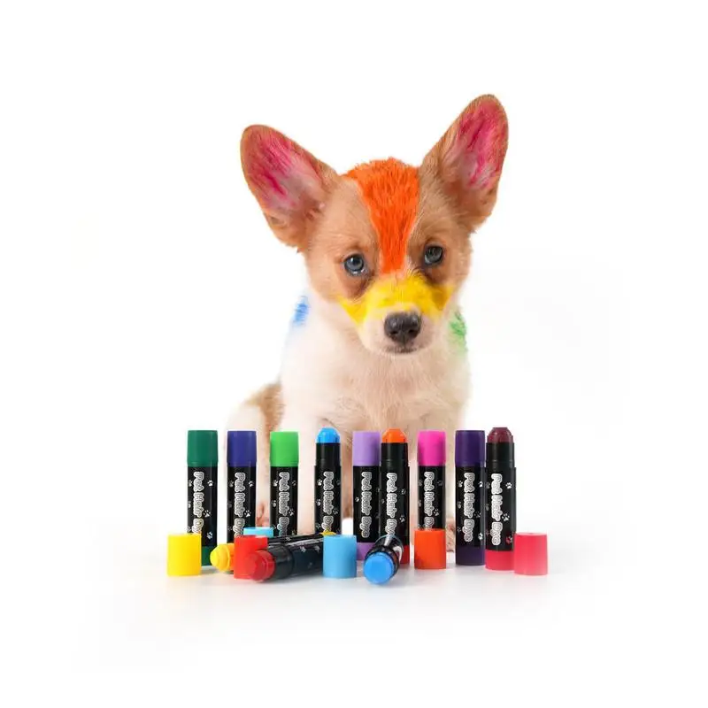 12 Colors Dog Hair Dye Paint Temporary Disposable Pet Fur Markers Non Toxic Safe Hair Color Painting Styling Crayon accessory