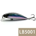 LB5001