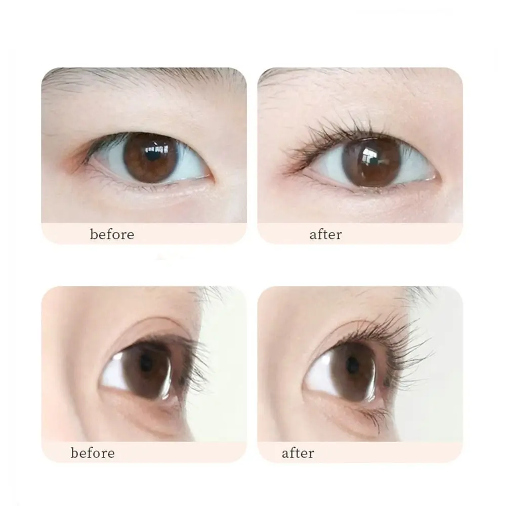 ที่ดัดขนตาแบบมืออาชีพพร้อมหวี อุปกรณ์เสริมความงามสำหรับดัดขนตา อุปกรณ์แต่งหน้า