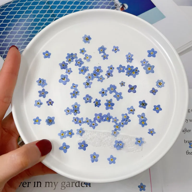 50 pcs Pressed Dried Blue Myosotis Sylvatica Forgetmenot For Epoxy Resin Pendant Necklace Jewelry Making Craft DIY Accessories