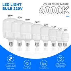 E27 Led Lamp Bulb 220v For Living Room LED Highlight Lamp Electric Light Energy Saving Lights Bulb 5W 10W 15W 20W 30W Cold White