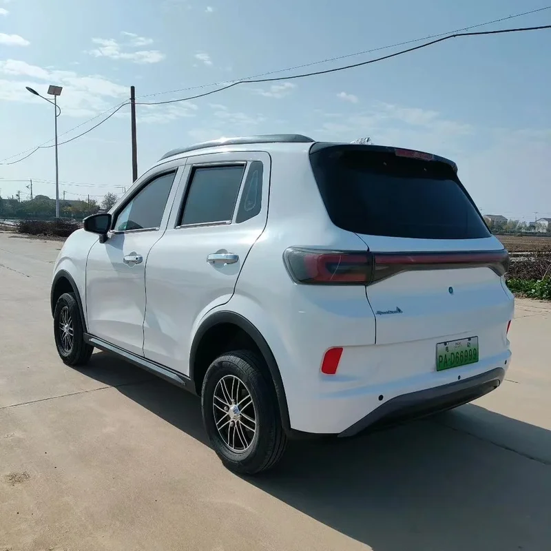 2025 New Energy Fully Enclosed Adult Four-Wheeler Vehicle Household Use New Oil-Tricycle Car Sales