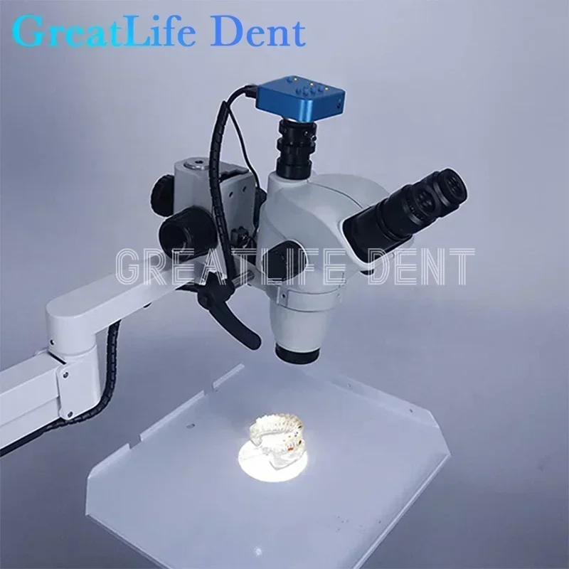 GreatLife-Chaise dentaire orale Dent 3.35-22.5X, générateurs endodontiques, caméra microscope, n'aime continu, 16 millions de pixels avec chariot