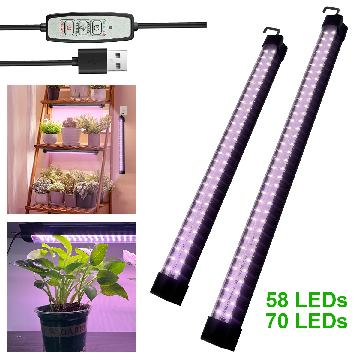 

растение свет