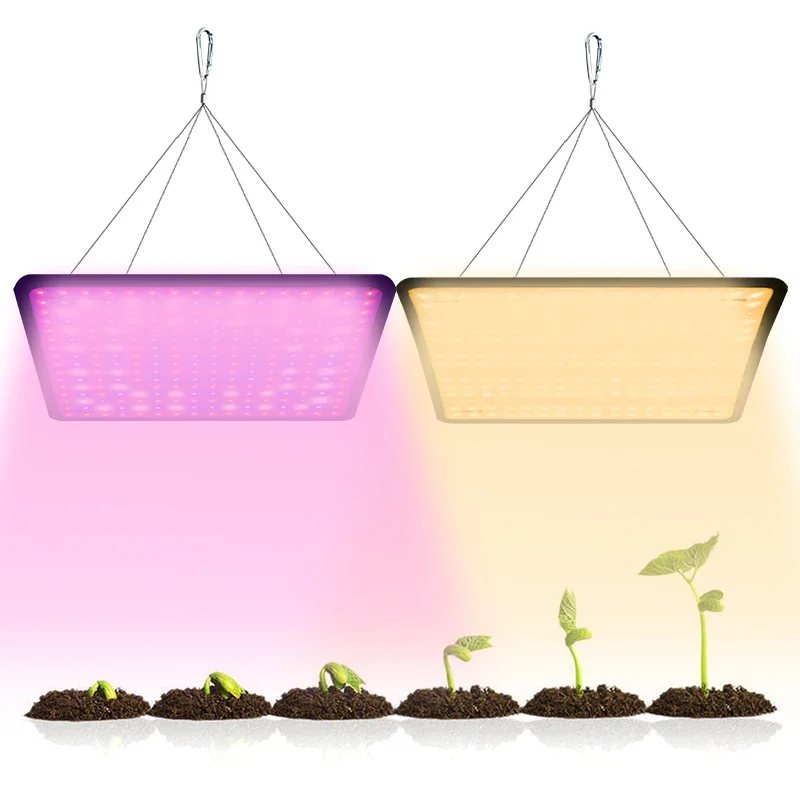 LED Full Spectrum Grow Light, Planta de interior Phyto Lâmpada para Estufa, Flor Vegetal Hidropônica Crescer Tenda, AC, 110V, 220V, 40W