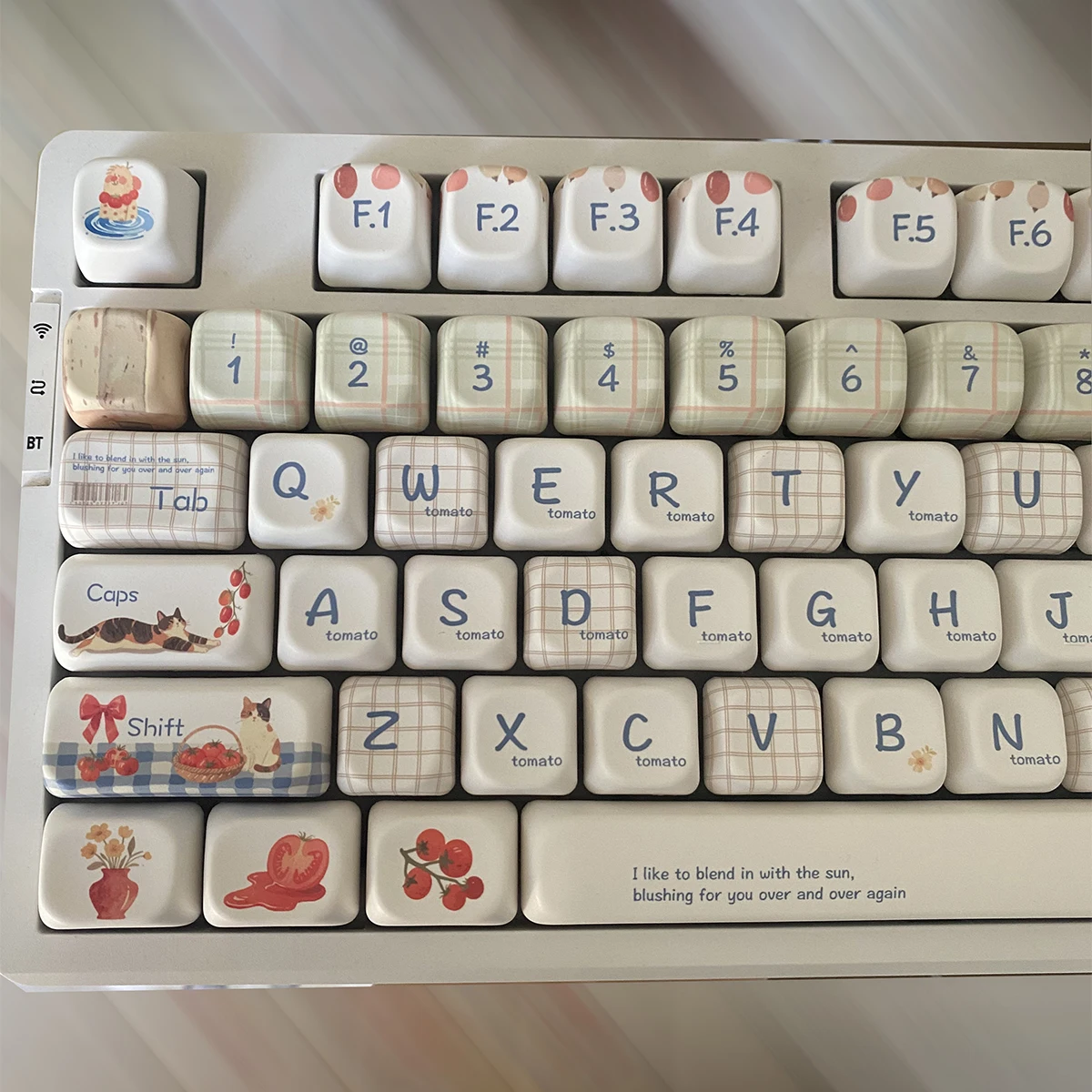 

Tomato Theme Keycap Set Cherry FG Profile Retro Artistic Style Custom Keycaps Simple Niche Cute Cat Mechanical Keyboard Caps