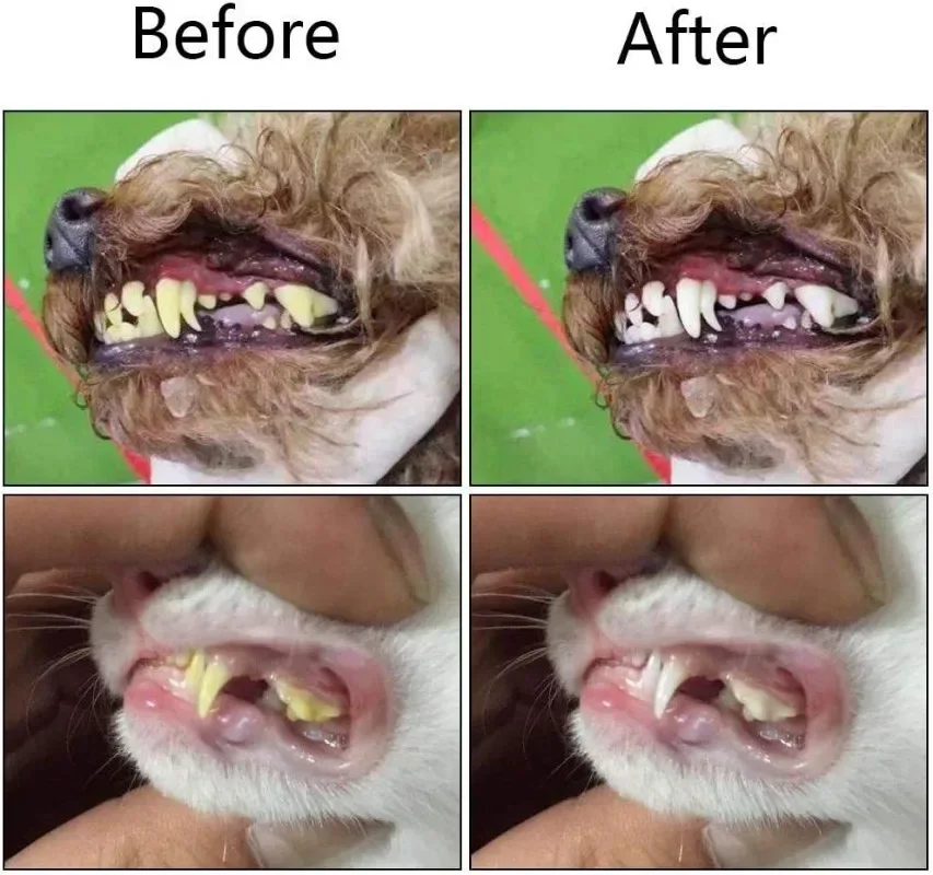 Cepillos de dientes suaves de silicona para mascotas, cepillo para perros, herramienta para el cuidado de los dientes del sarro del mal aliento, exfoliante de limpieza para gatos, suministros para mascotas de gel de sílice