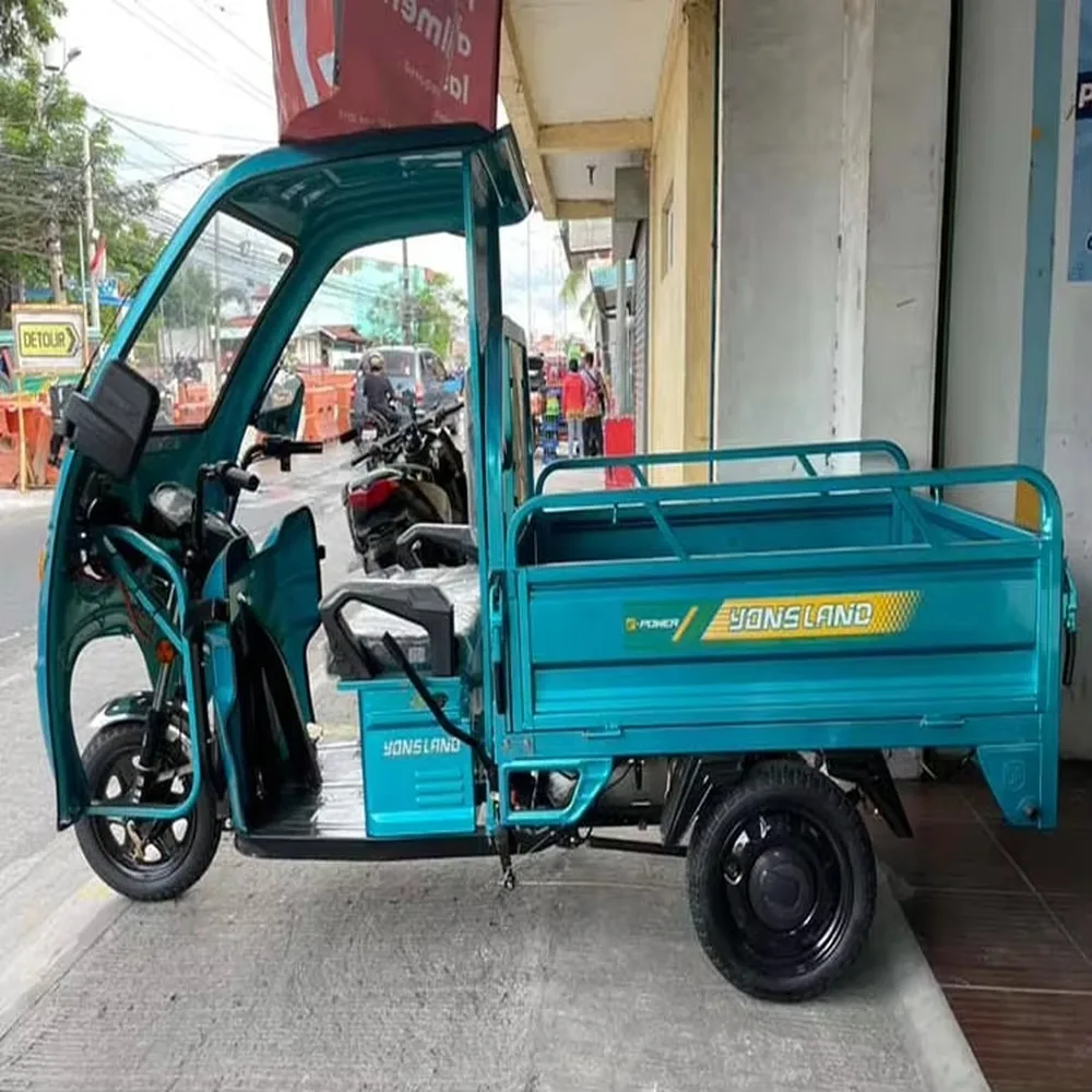 60V 1200W Electric Tricycle with Cab, 3 Wheel Adult Cargo Trike, Heavy Duty Motor, LED Lights, Reverse Gear