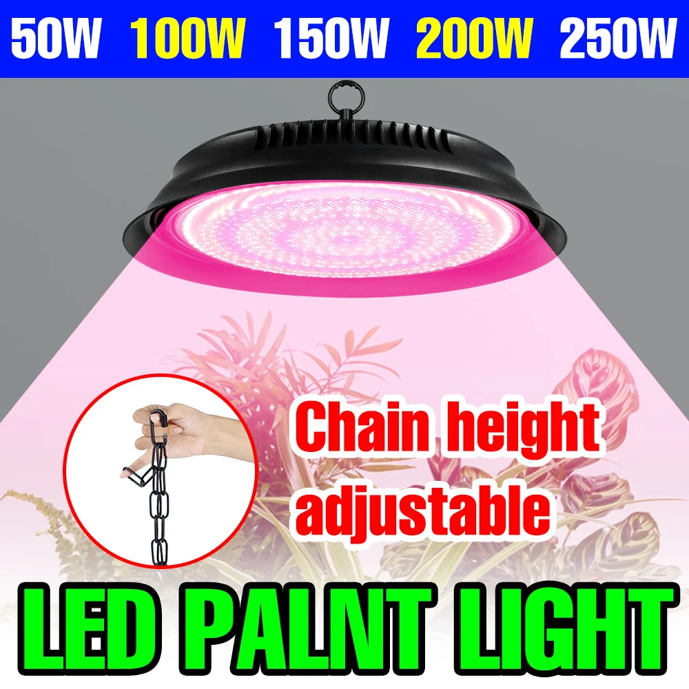 

250 Вт светодиодная лампа полного спектра для выращивания в помещении, гидропонная коробка для посадки, 100-277 В, тепличная палатка, помидоры, освещение для выращивания фруктов
