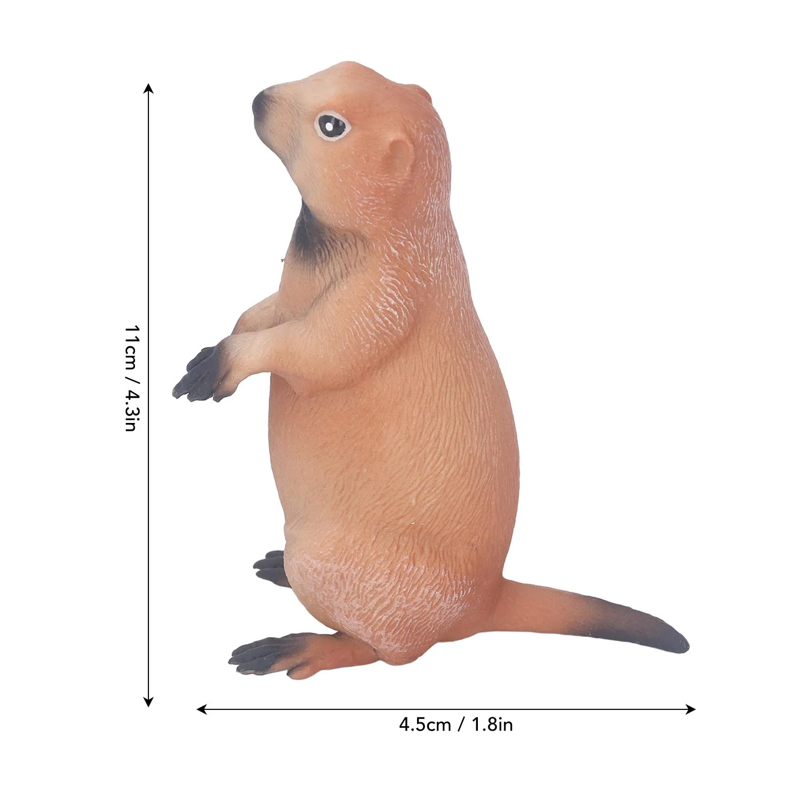 ZK40 Groundhog Statue Toy Wild Animal Figurine Model Simulation Animal Plastic Sculpture for Home Decoration Kids Education