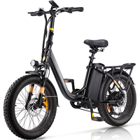 isinwheel Free Adult Electric Bike 750W Motor 48V 15.6Ah Battery Battery Electric20 Inch City Commuter Electric Bike