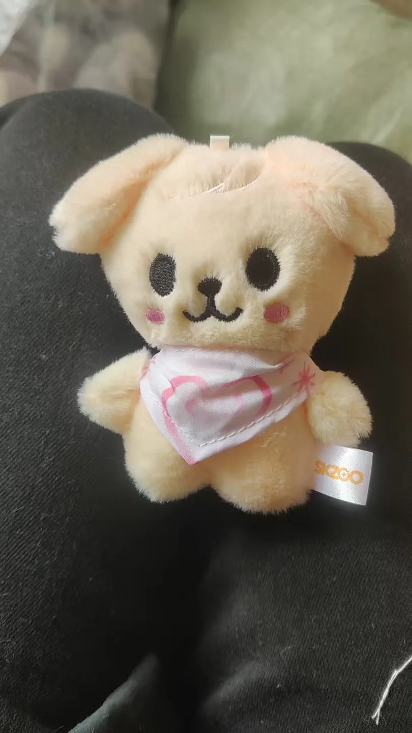 SKZ FM Field Week Mesmo lenço de água de 10 cm Stray Kids Chaveiro de pelúcia Boneca de Natal