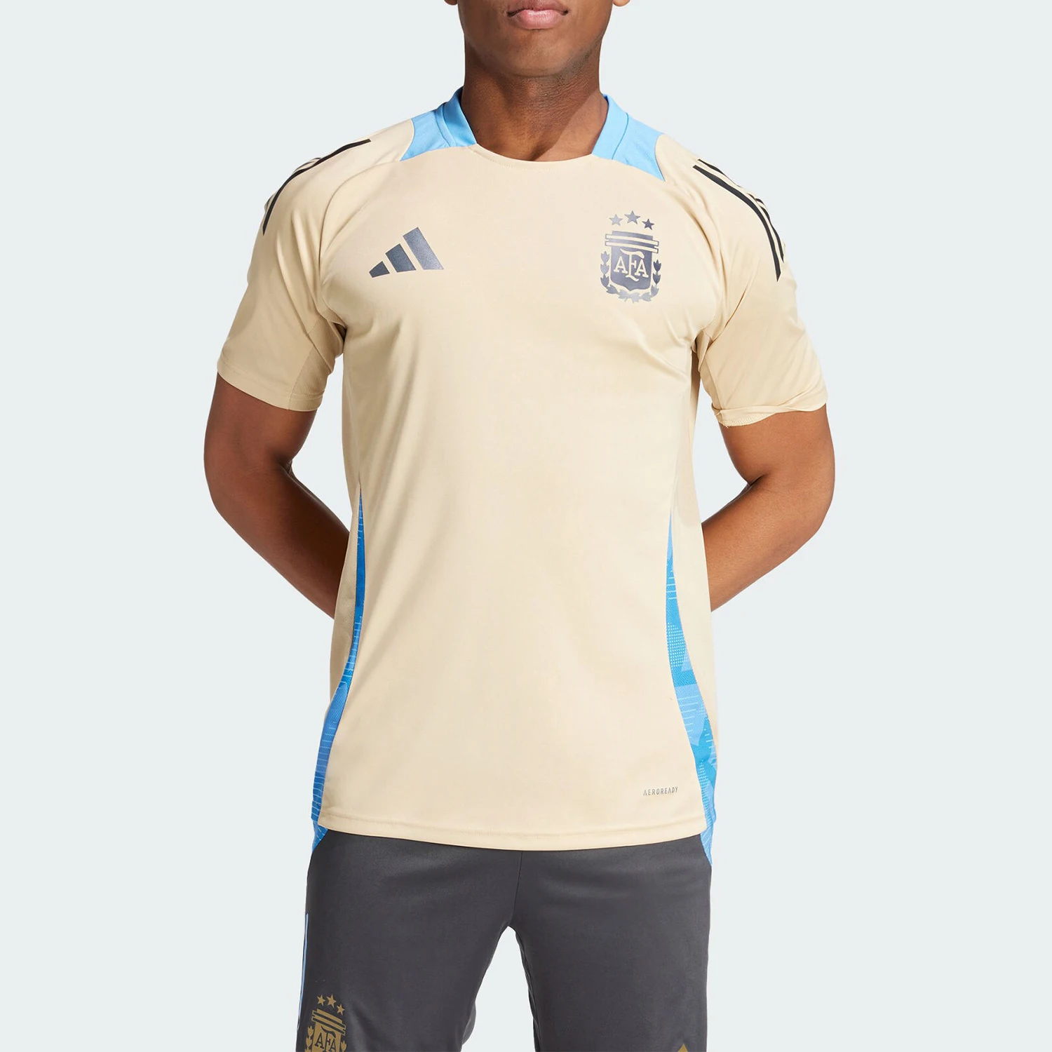 

Adidas Genuine AFA TR JSY Argentina Team Football Men's Jersey IQ0816