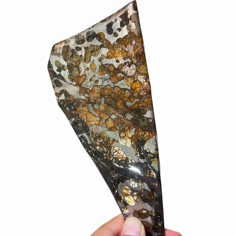 Seymchan Pallasite Meteorite Irregular Polished Slice Natural Olivine Crystal Cosmic Mineral Specimen Space Rock TA810