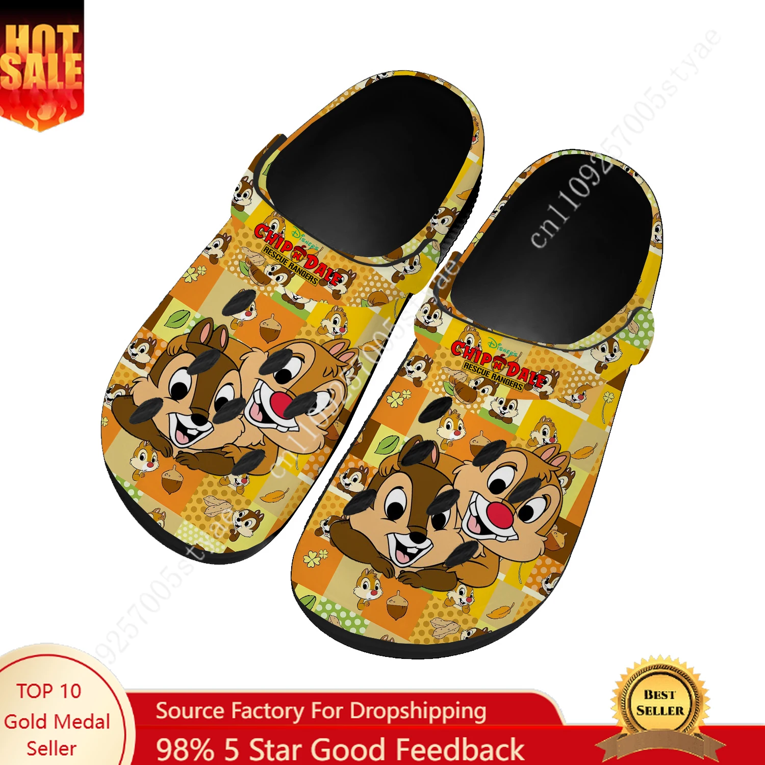 

Disney Chip 'n' Dale Water Shoes Mens Women High Quality Fashion Home Garden Clogs Custom Sandals Beach Breathable Hole Slippers