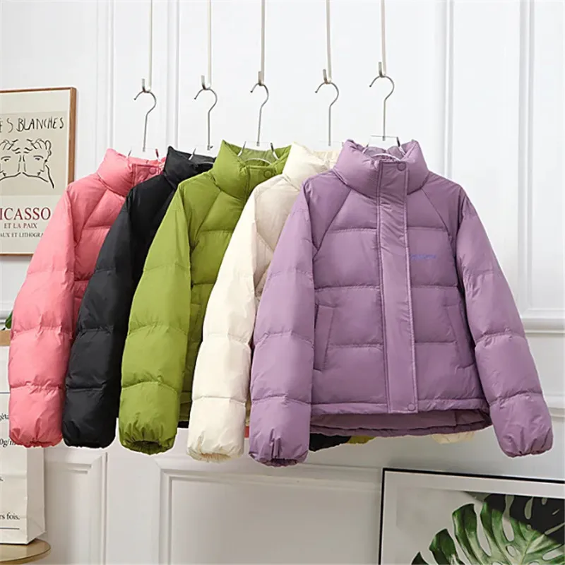 Autumn Winter Short Down Jacket Women 2023 New Loose Stand-Up Collar Casual Coat Pure Colour Concealed Zipper Outerwear Female