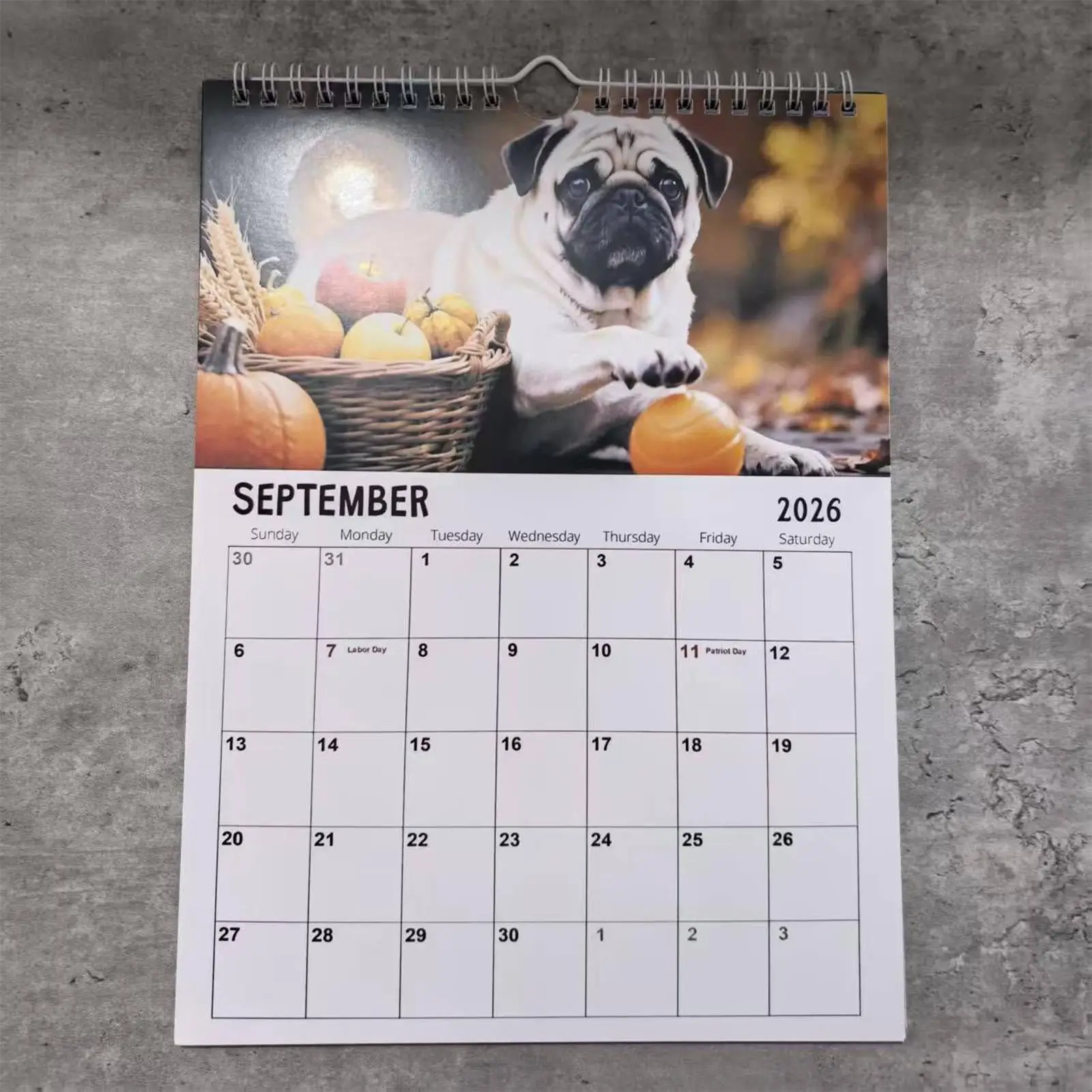 

Календарь на 2026 год, рождественский ежемесячный планировщик с животными, толстая бумага, настенный настольный календарь для расписания, делать заметки, домашний декор, крыльцо