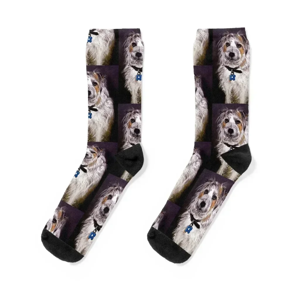 Jack Russell Terrier Dog Socks Climbing winter gifts Women Socks Men's