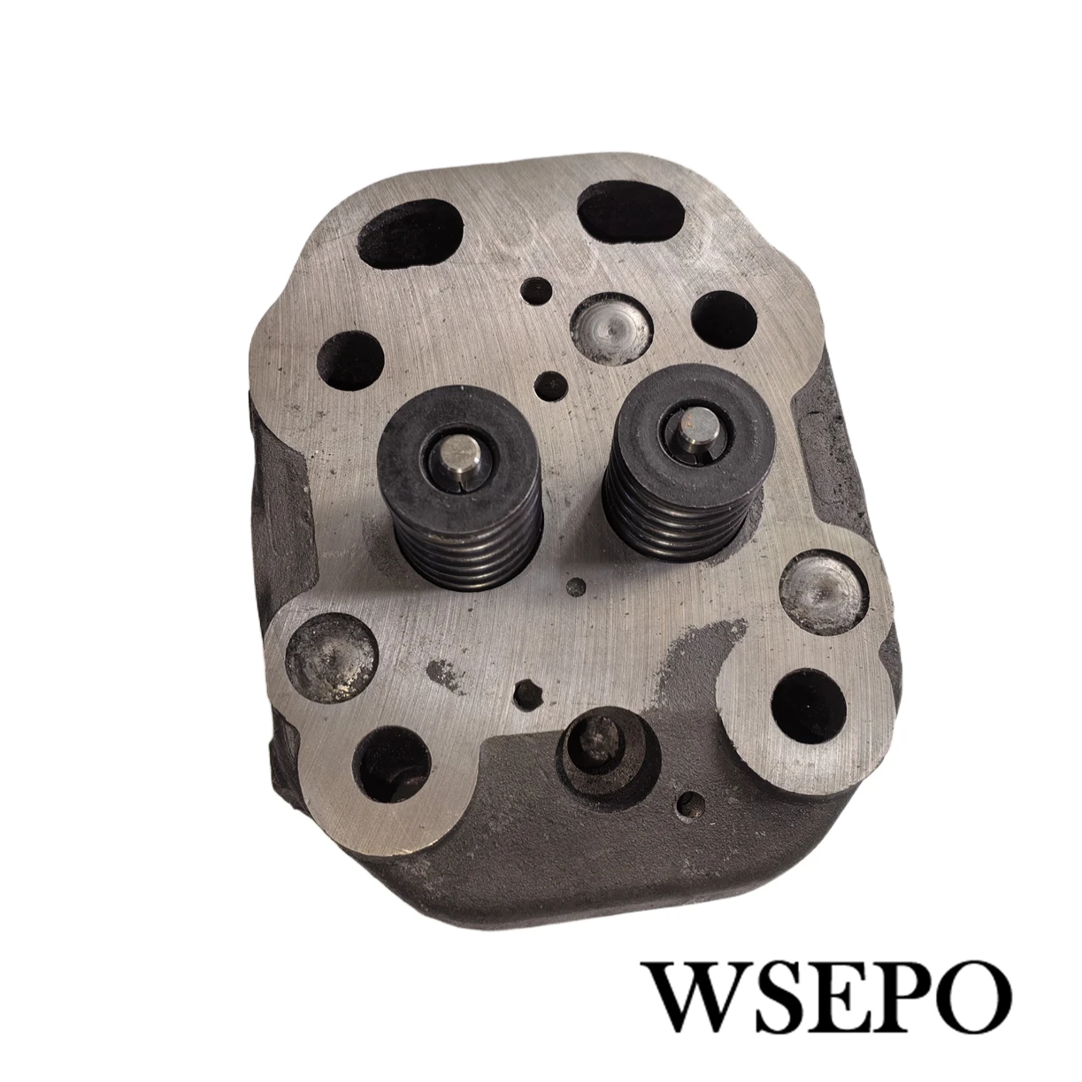 testata-completa-con-valvole-molle-assembtate-adatta-per-changchai-o-simile-s195-camera-a-turbolenza-motore-diesel-ad-acqua-fredda
