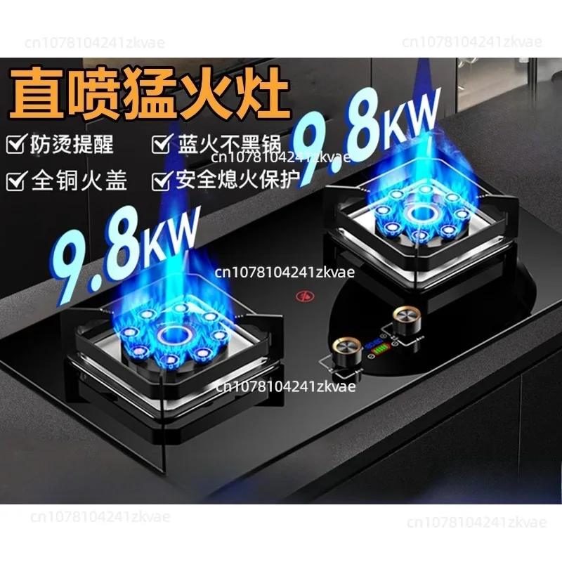 Dual-Burner Gas Stove, Countertop Gas Cooking Stove, Energy-Saving Liquefied Gas Stove with Powerful Performance