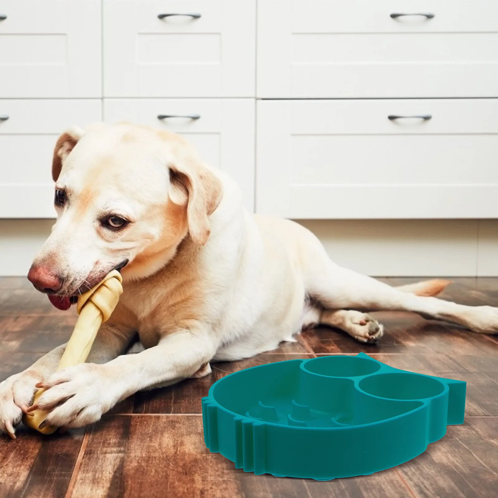 

Bowl Dog Cat Slow Feeder Silica Gel Durable Safe Non Toxic Anti Obesity Indigestion Feeding Dish Pet Supplies Dog Slow Feeding