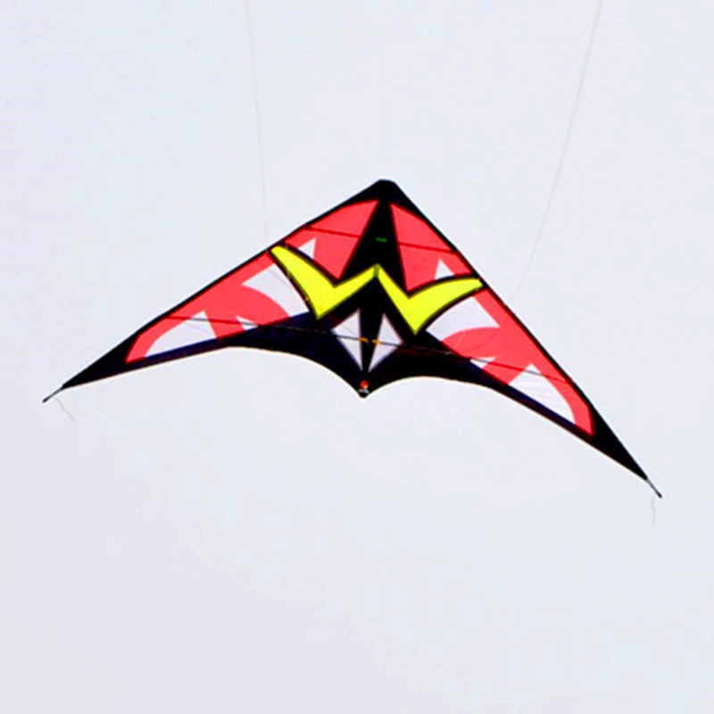 Free Shipping 250cm dual line stunt kites for adults kites professional wind kites factory power kites kitesurfing full set koi