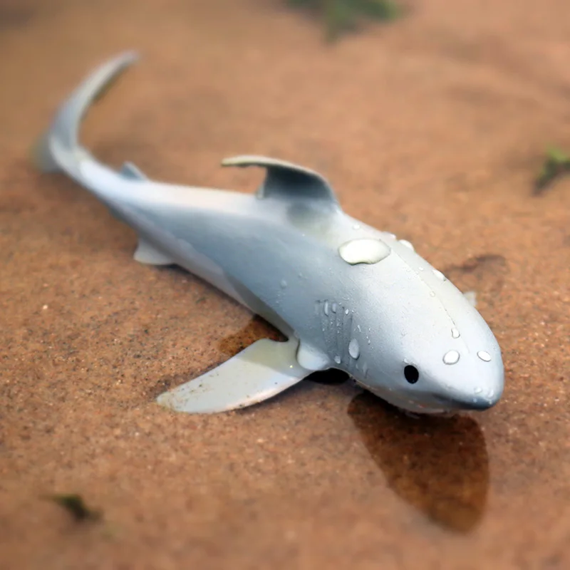 Oenux Sea Life Modello Grande Squalo Bianco Helicoprion Megalodon Balena Action Figure Oceano Animali Marini PVC Educazione Giocattolo per Bambini