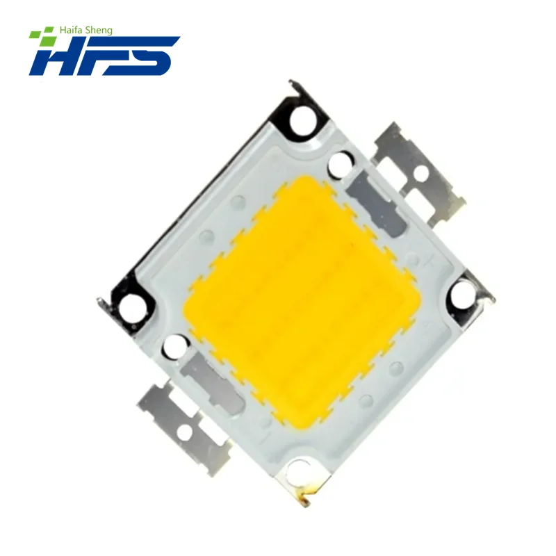 20W 30W 50W 100W LED integrato ad alta potenza lampadina LED bianco/bianco caldo EPISTAR COB chip lampade a led