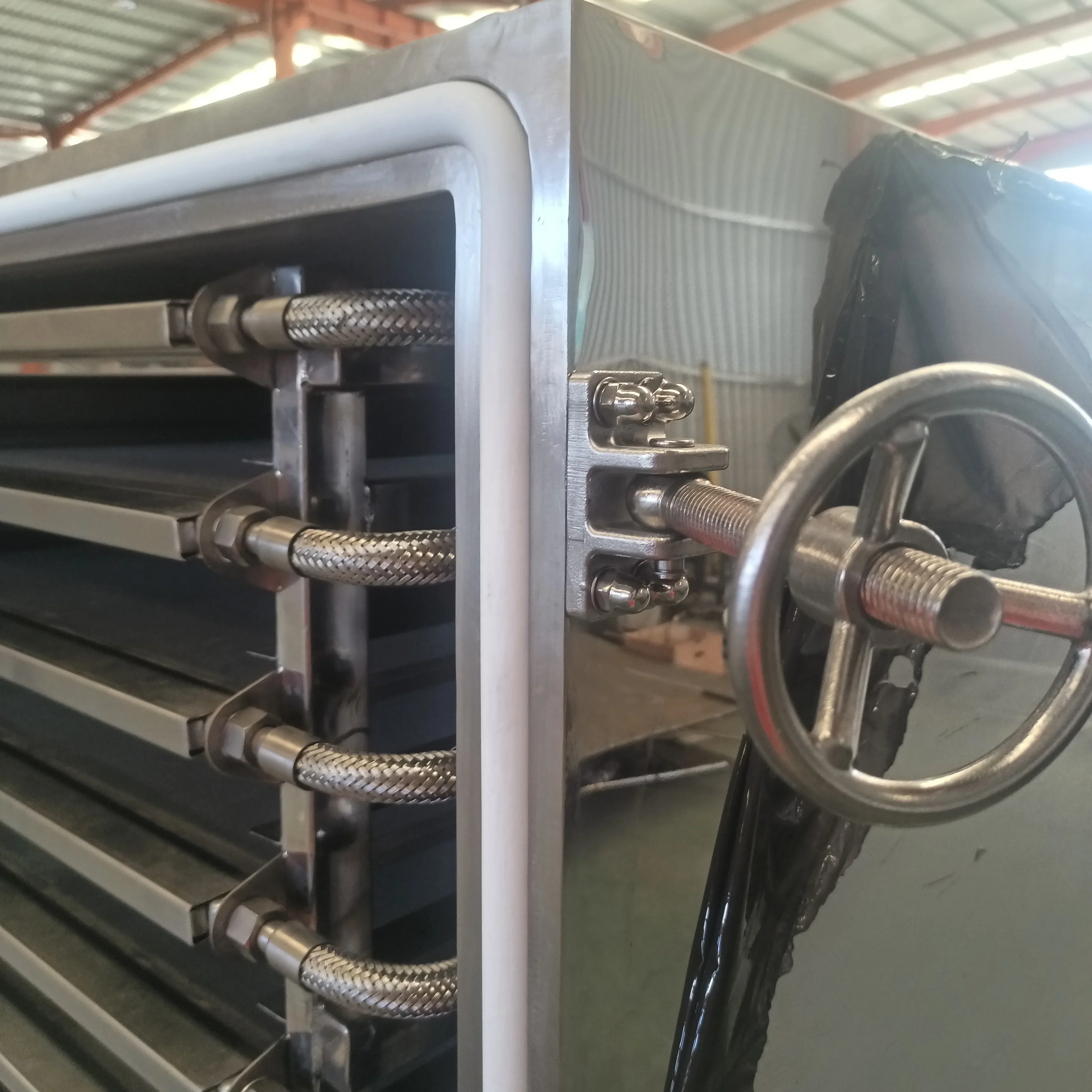 Essiccatore sottovuoto industriale per frutta e verdura