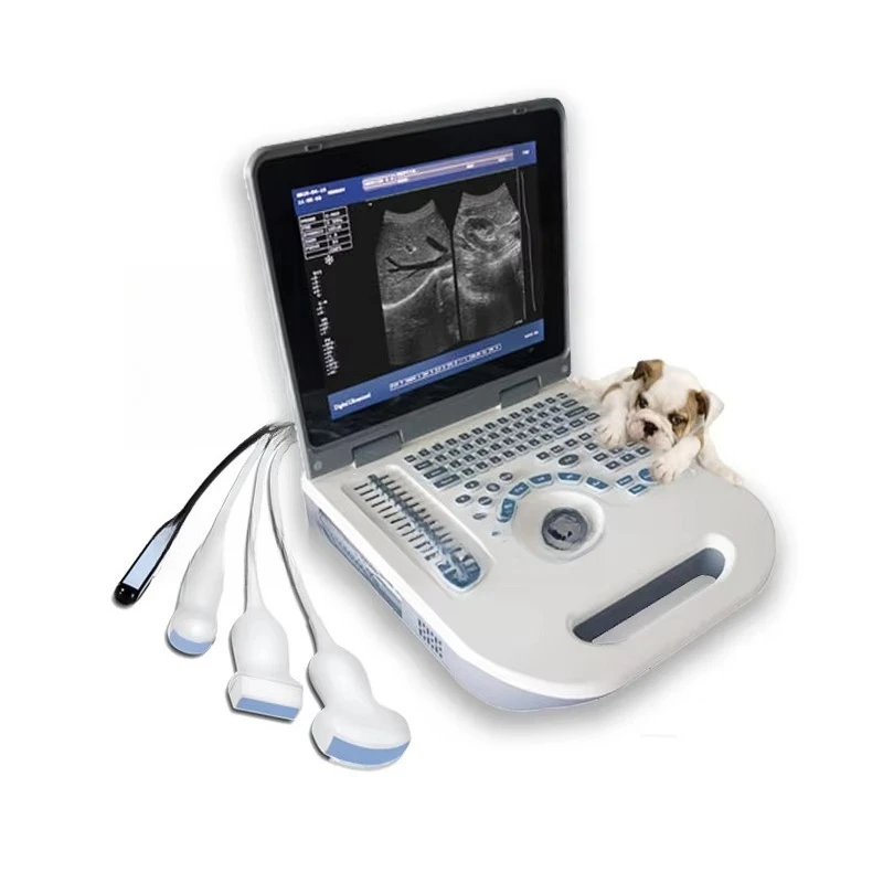 

Vet Ultrasound Portable Veterinary Ultrasound Machine Price