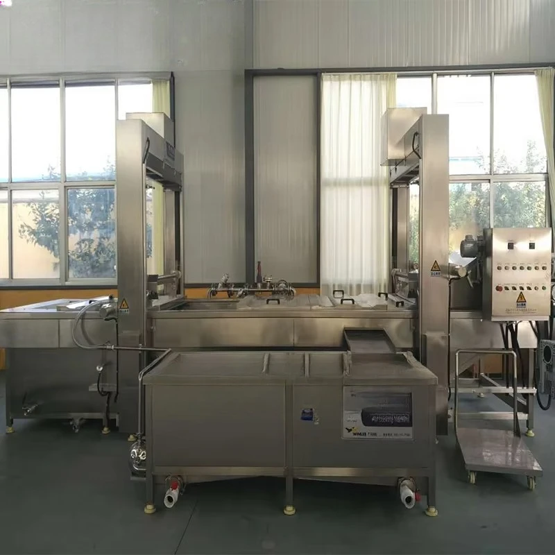 FL Fruit and Vegetable Blanching Machine Complete Blanching Equipment for Vegetable Preservation Production Business