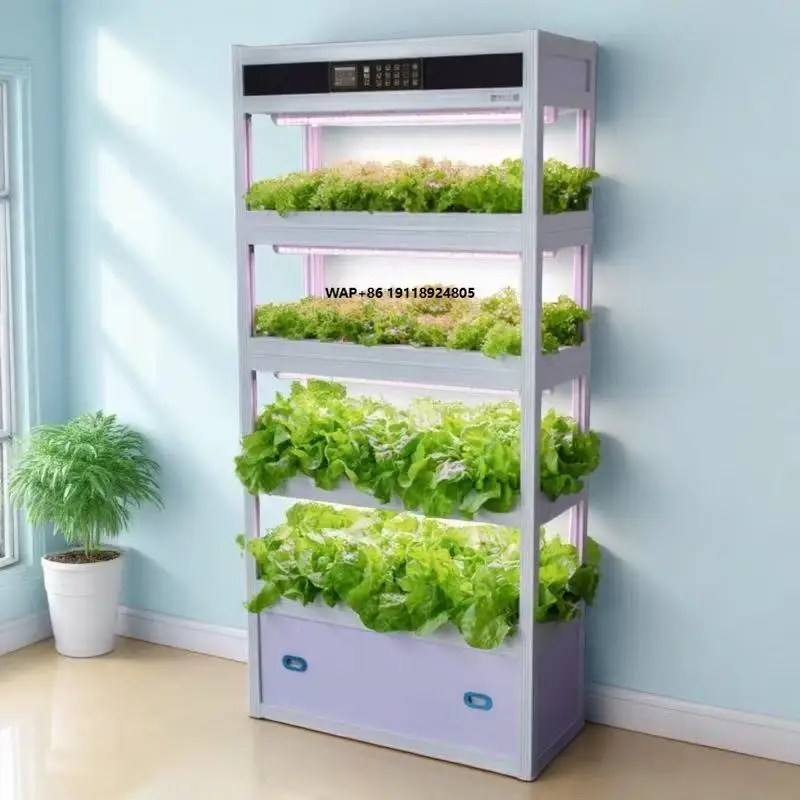 

Indoor Intelligent Soilless Cultivation Hydroponic Vegetable Planting Equipment Frame System Open Type Planter Plant Factory