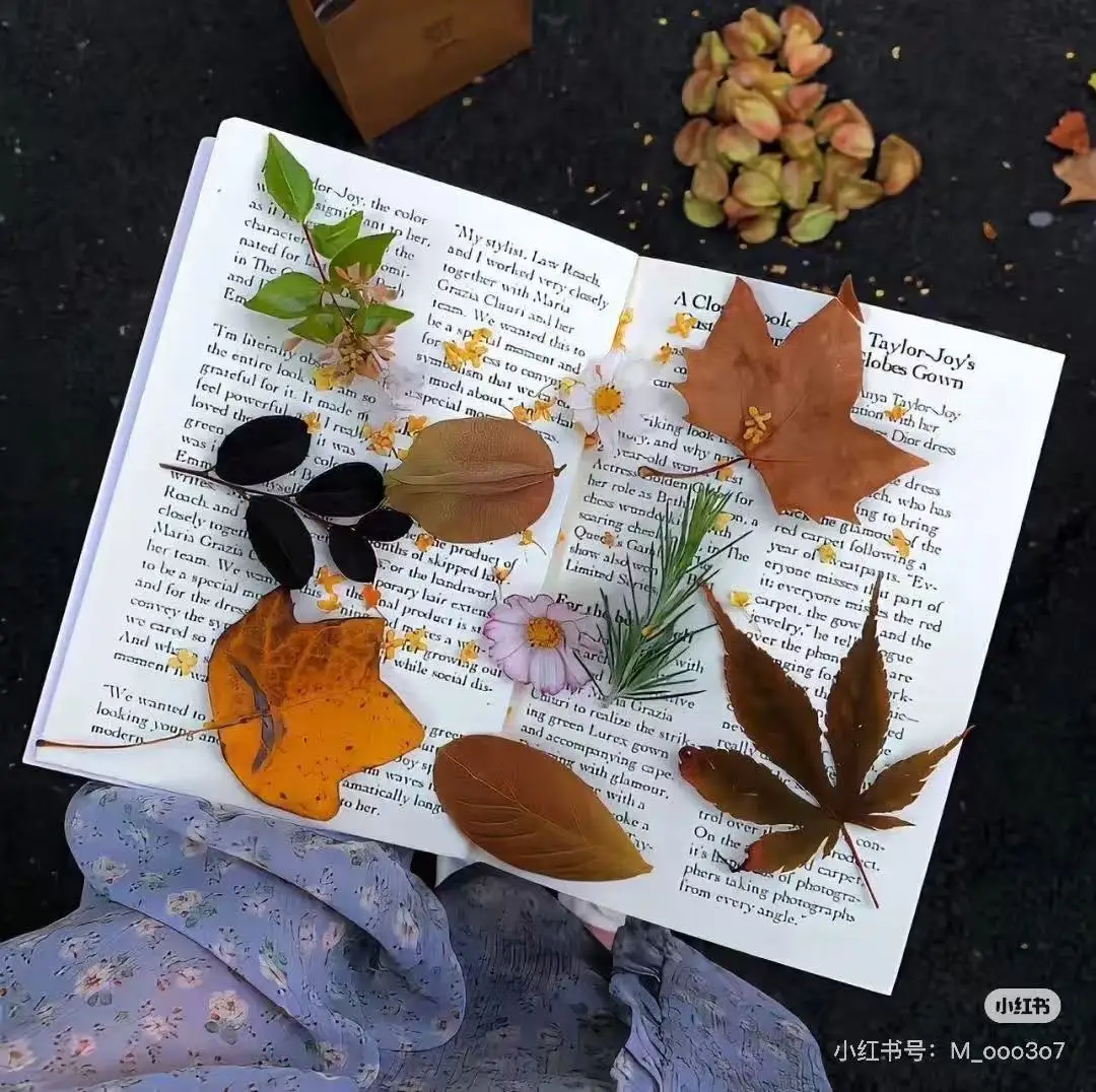 

Профессиональный MYOslim HI-EMS стимуляция мышц BODY Neo машина электромагнитные 4 ручки для моделирования тела Ems косметическое оборудование