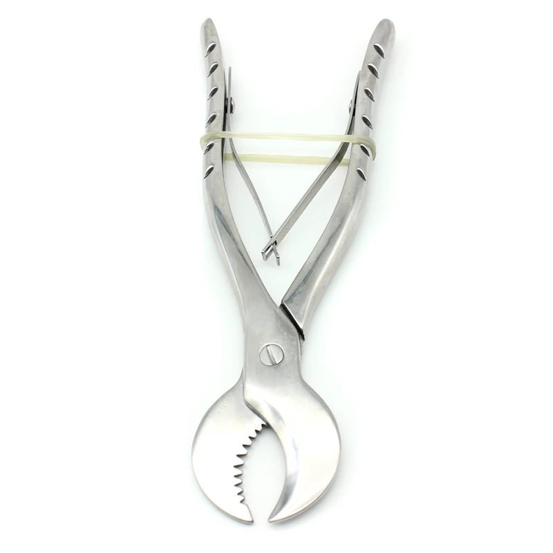 1 шт. M/L стоматологические лабораторные инструменты, ножницы для зубной штукатурки, презервативы, щипцы из нержавеющей стали, инструмент, ножницы для гипсовой штукатурки