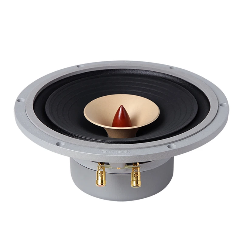 LII AUDIO HIFI FAST-10 Full Frequency Speaker 10 inch 8ohm/40-60W Unit / 1PCS