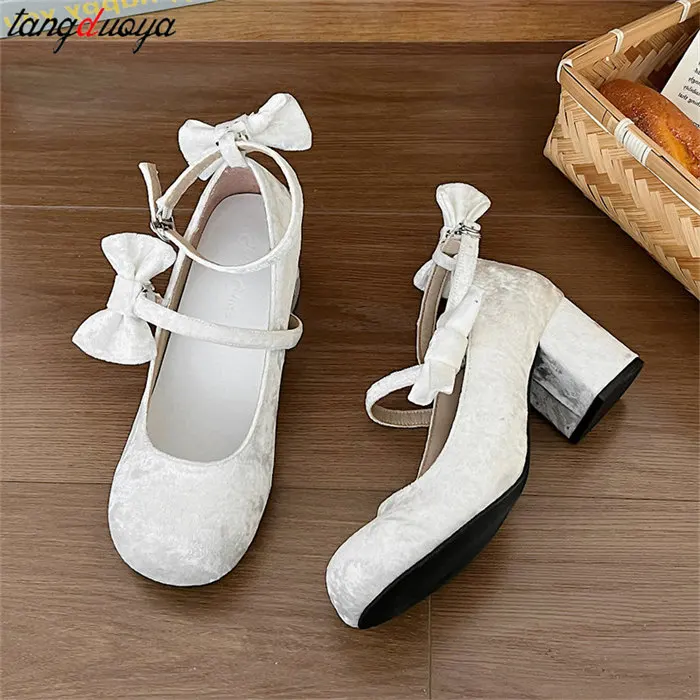 High heeled Mary Jane shoes Women 2024 New French Velvet Thick Heel Pumps Female Square Heel Single Shoes White Party Sandals