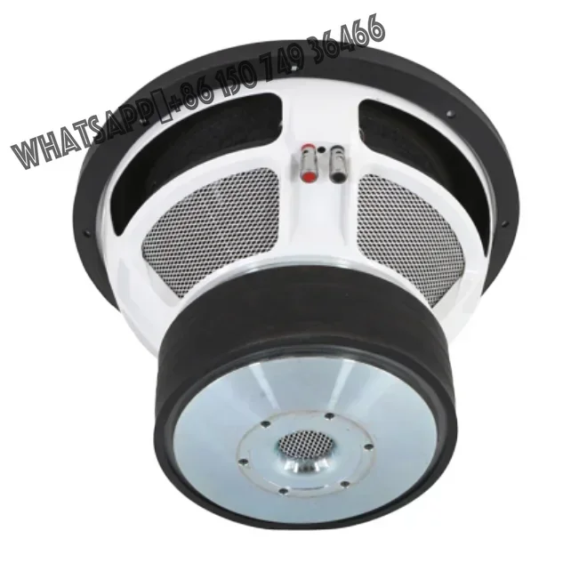 

12\" Dual Magnet Car Subwoofer Speaker 3000W RMS Car Audio DC 12V/24V Carbon Paper Cone Foam Surround Compatible GAC AC Jeep