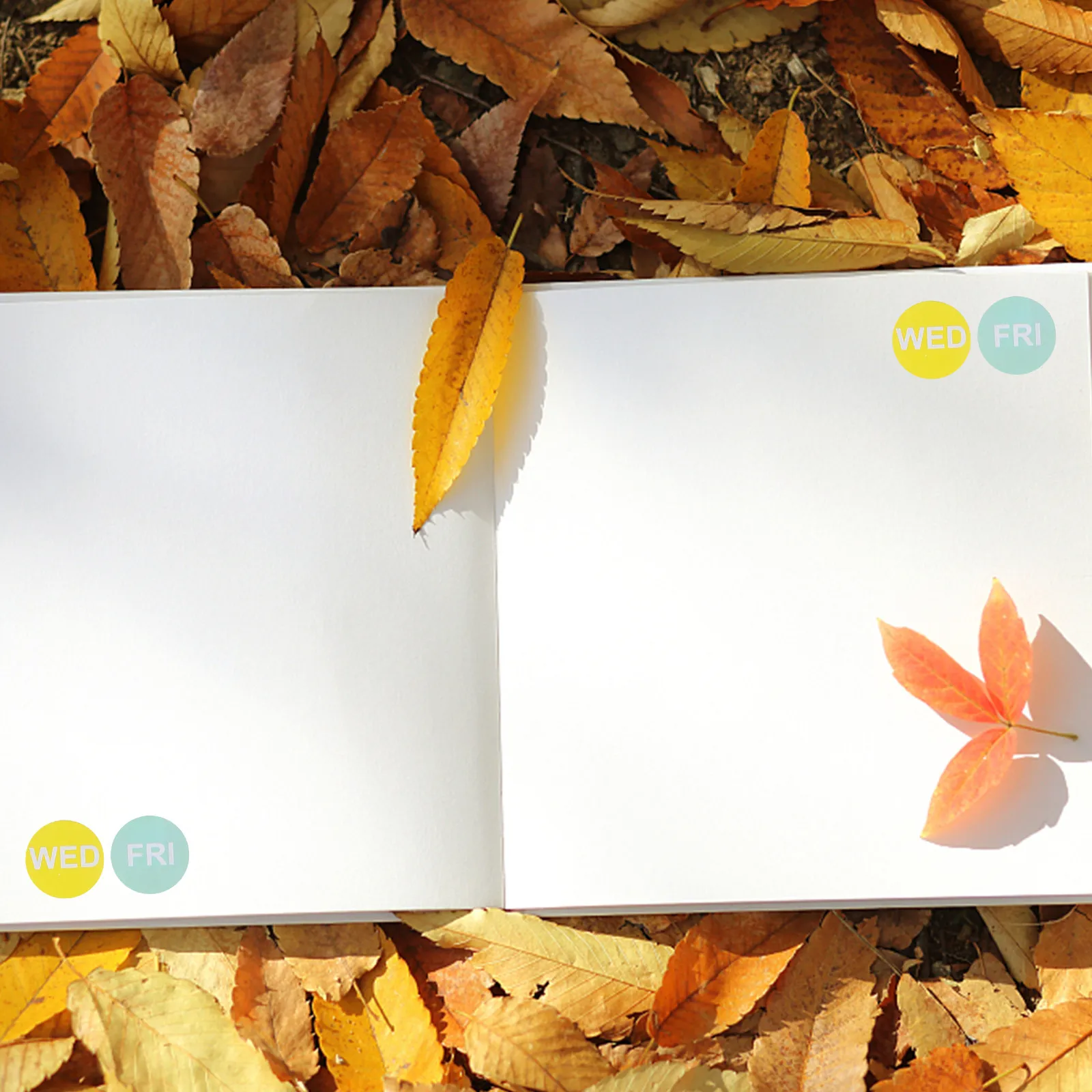 

7 рулонов наклеек-этикеток для недельного планирования, клейкие точечные наклейки для календаря, отслеживания дат, организации работы в офисе и школе, маркировки дат